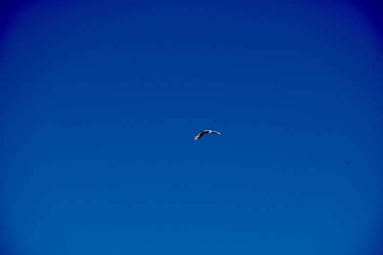 Lot 4 Nth Karamea Road Karamea_39