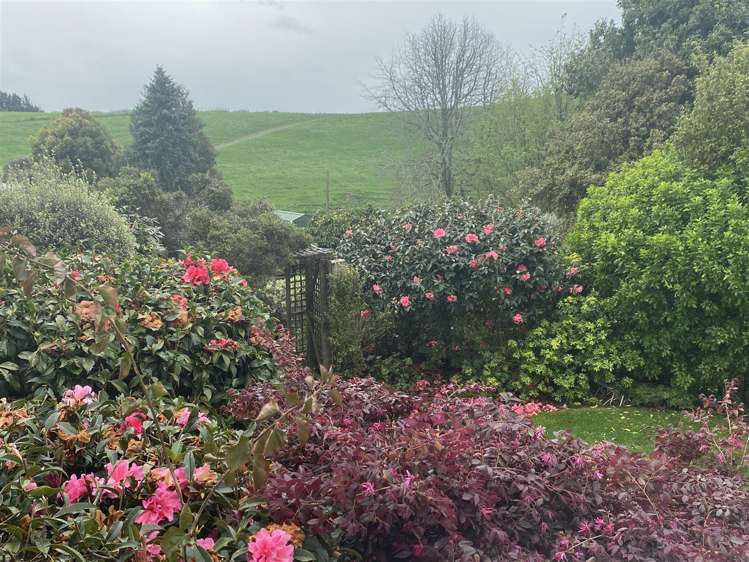 81 Mountain View Road Otorohanga_7