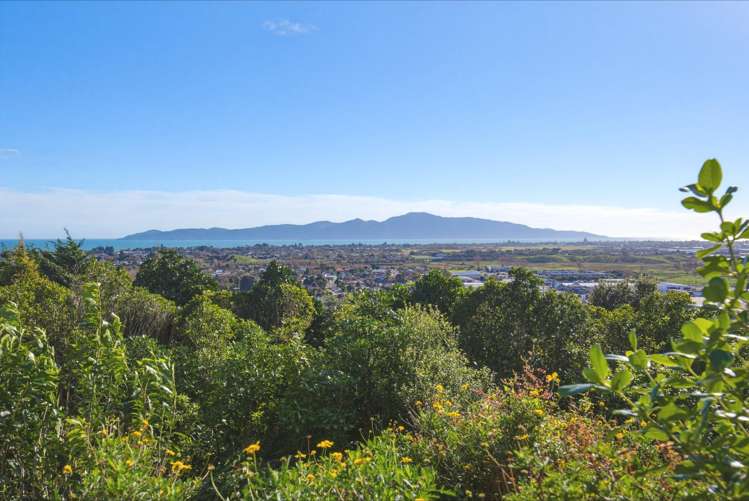 7 Countryridge Close Paraparaumu_12
