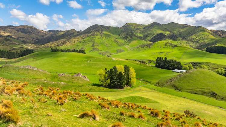 1157 The Peaks Road Hawarden_1