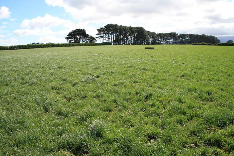 939 Auroa Road Auroa_5