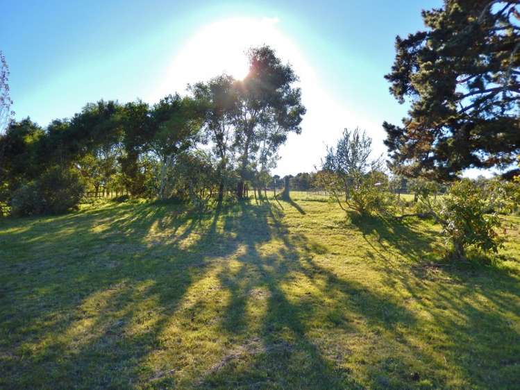 187 Lakewood Drive Nukuhau_7