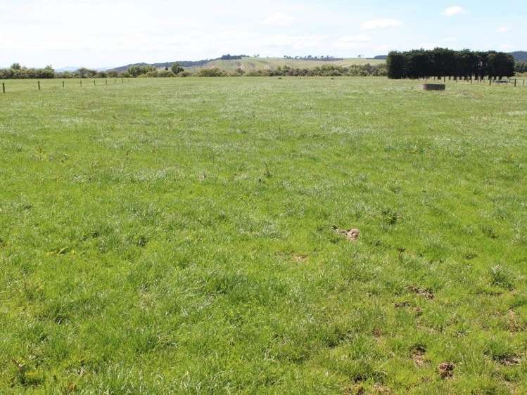 247 Mataura Island Road Wyndham Surrounds_16