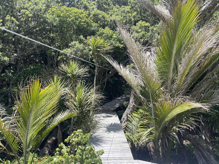 420 Shoal Bay Road Great Barrier Island_10