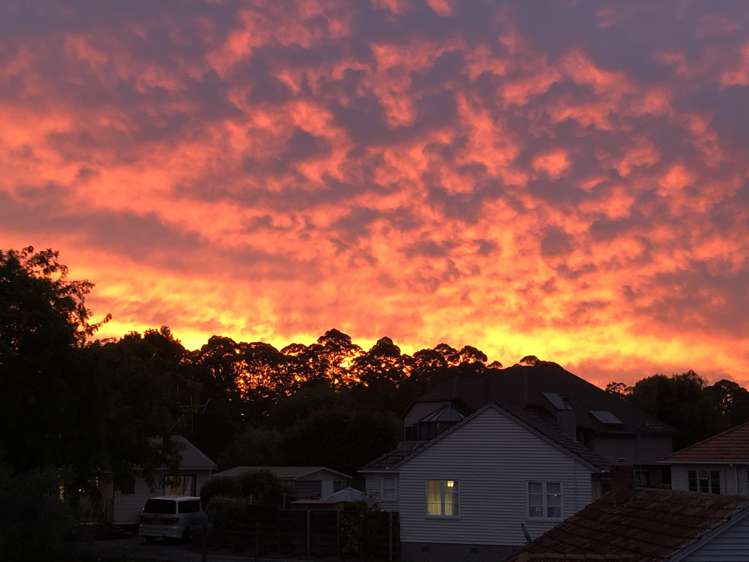 3 Dillon Place Hamilton East_14