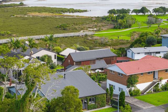Point Chevalier | Professionals x CPRE