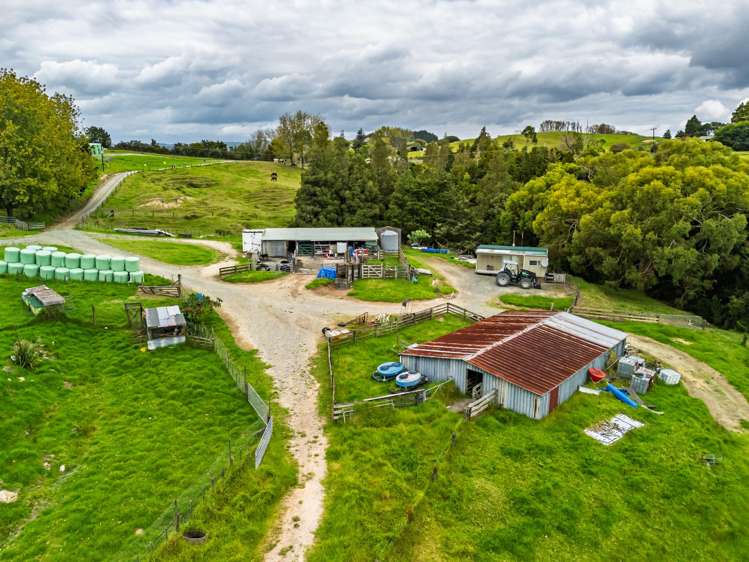 3136 State Highway 1 Umawera_11