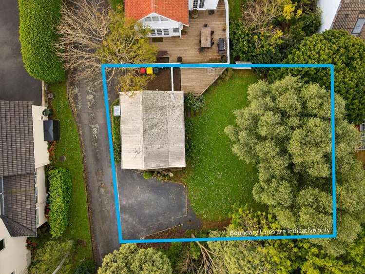 158 Pembroke Street Hamilton Lake_0