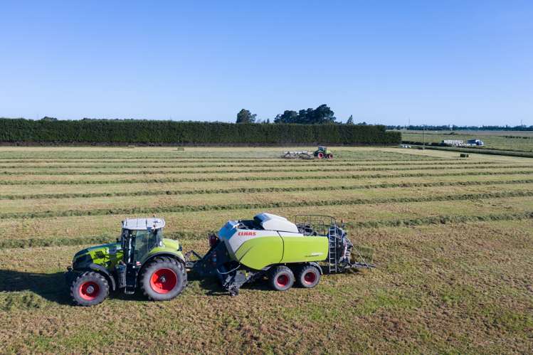 Wilkins Road Tinwald_8