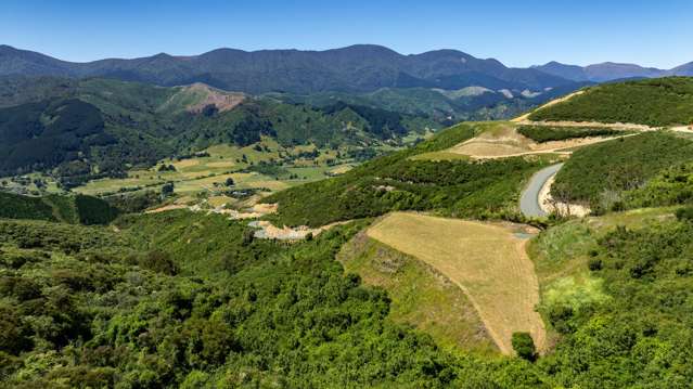 Cable Bay Road Hira_1