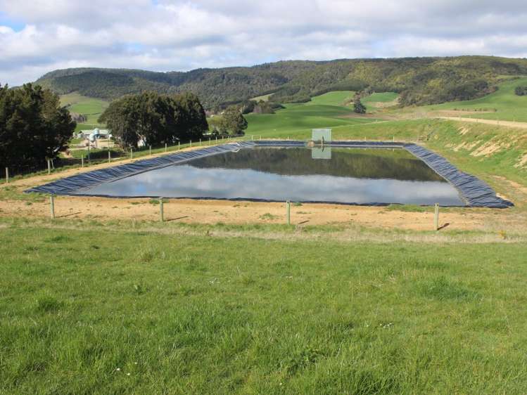 380 Matheson Road Catlins Surrounds_12