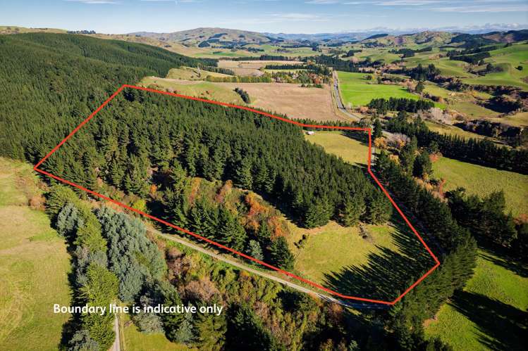 8P Davaar Road Greta Valley_6