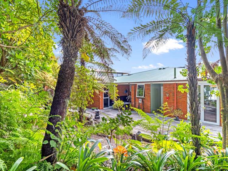 13 Muriwai Drive Whakatane_16