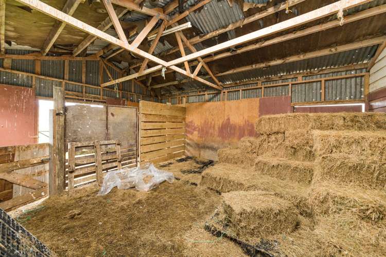 106b Pohangina Road Ashhurst_22