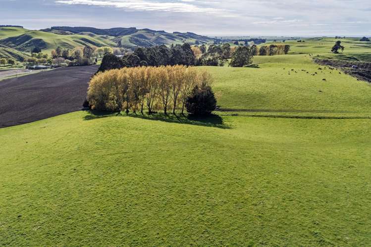 463 Dog Kennel Road Ikawai_25