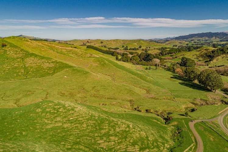 134 Bowen Road Eketahuna_15