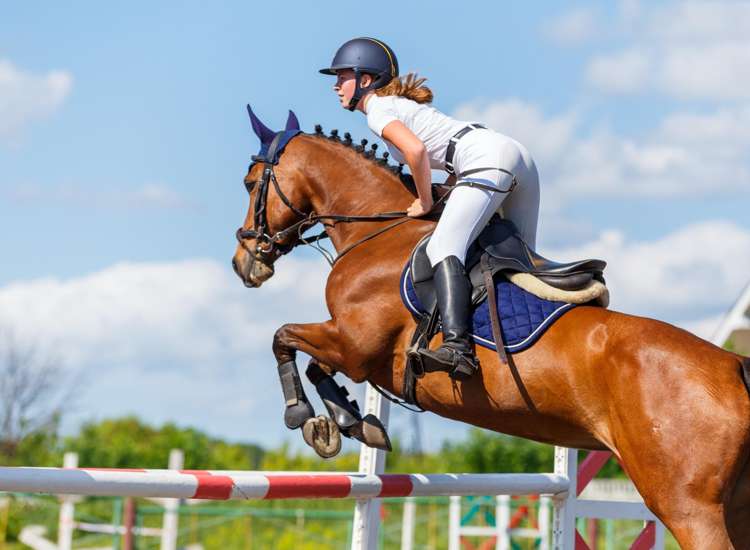 Address withheld New Plymouth_1