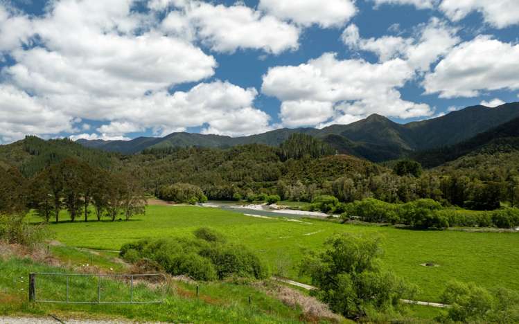 2154 Shenandoah Highway Murchison_10