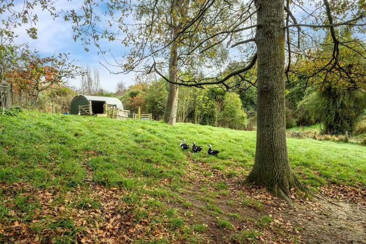 80 Pye Road Geraldine_16