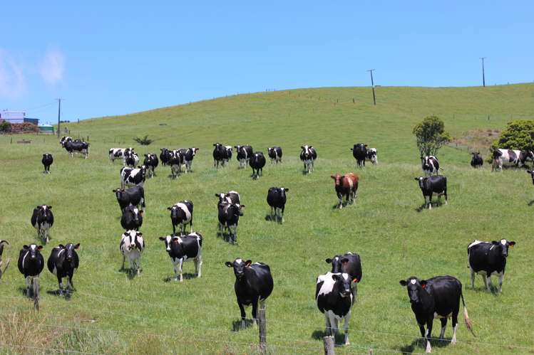 89 Jones Road Donnellys Crossing_41