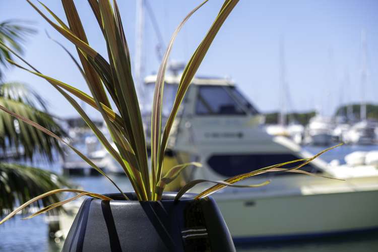 27 Mariners Haven One Tree Point_6