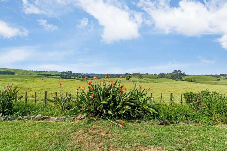 3175 Highway 22 Whangape_17