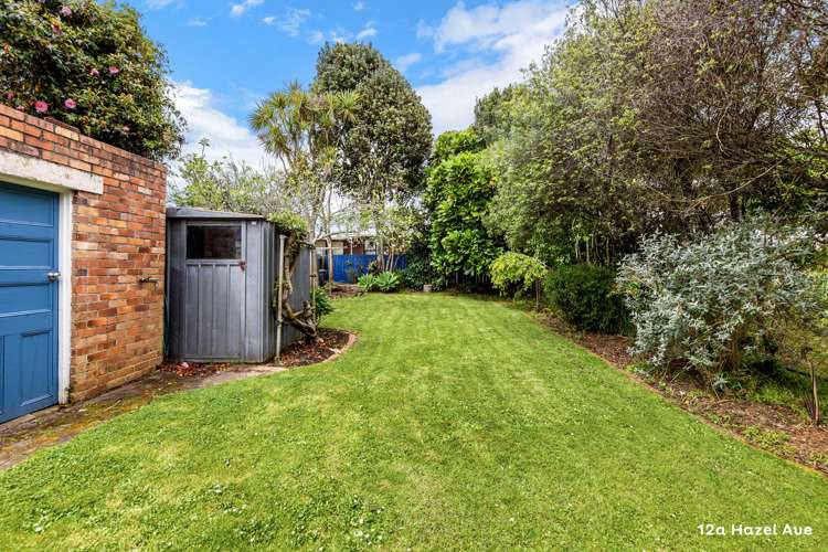 12a Hazel Avenue Mount Roskill_12