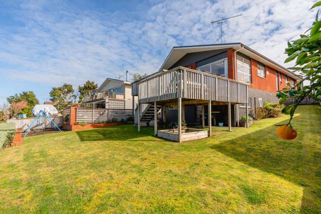 263 Douglas Avenue Te Awamutu_3