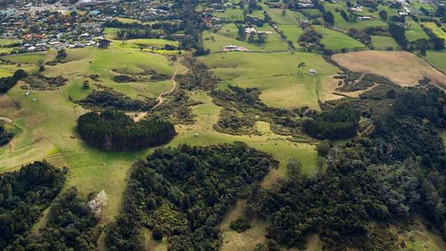 Big Waimauku block has subdivision consent