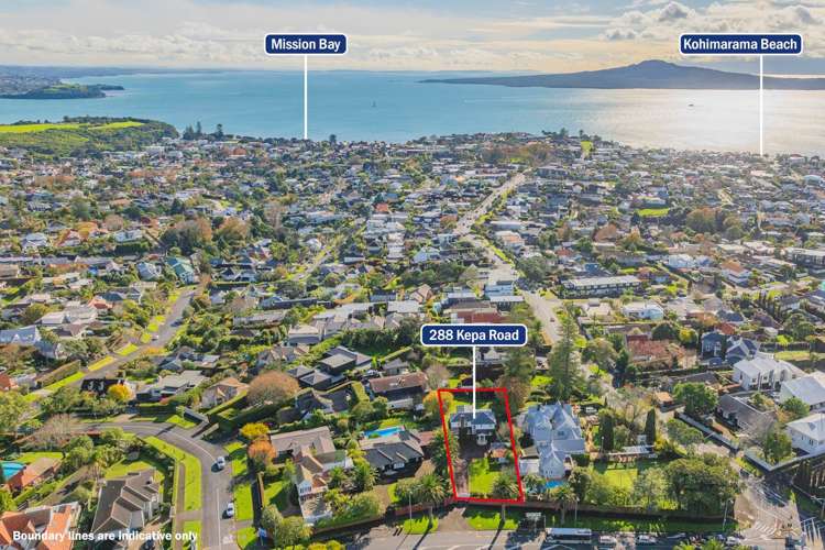 288 Kepa Road Mission Bay_35