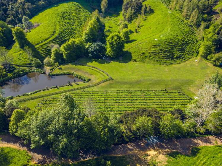 160A Twilight Road Clevedon_9