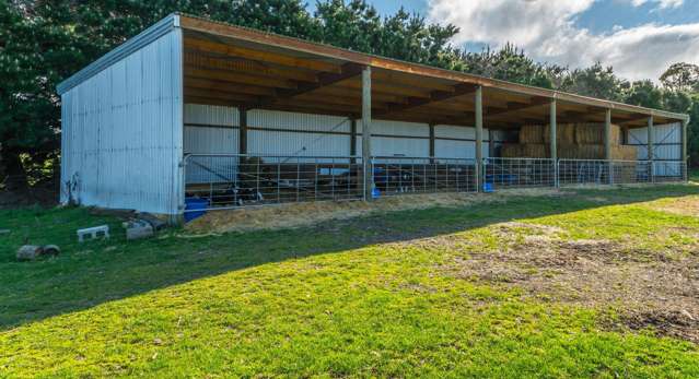 257 Lyndon Road Waiau_4
