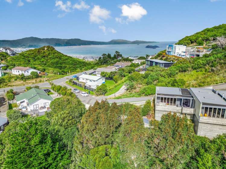 163a Maungaraki Road_1