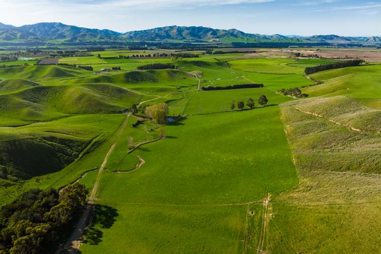 Marama Road Seddon_16