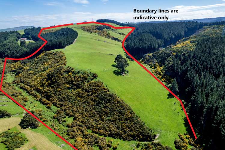 Waihola Hill Road Milton_11