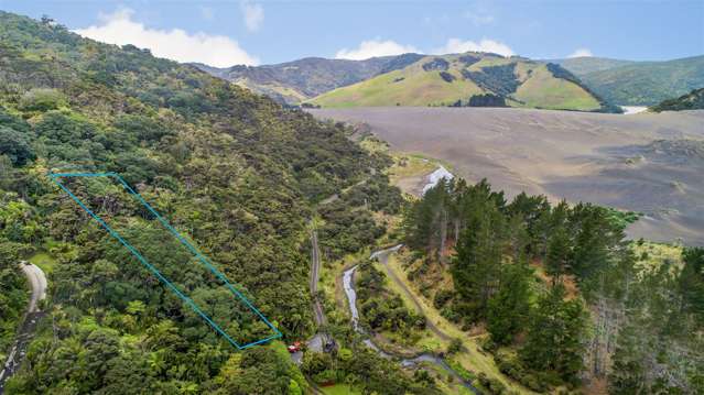 13 Tasman View Road Bethells Beach_3