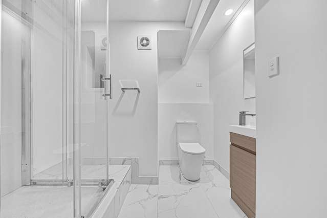 14 Richardson Avenue Pukekohe_4