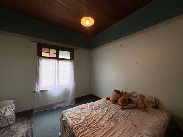 20 Mcgiffert Street Palmerston North Central_4