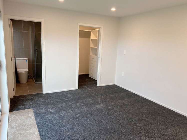 302a Hillsborough Road Hillsborough_9