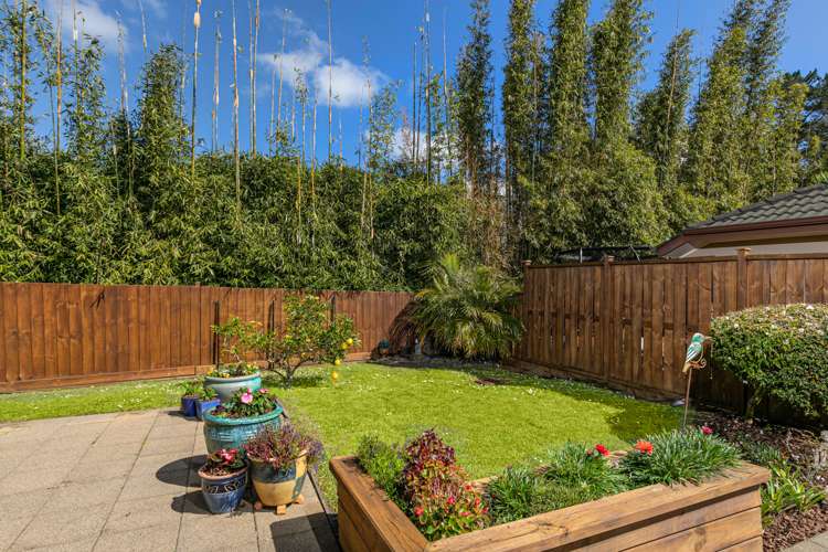 94 Summerland Drive Henderson_20