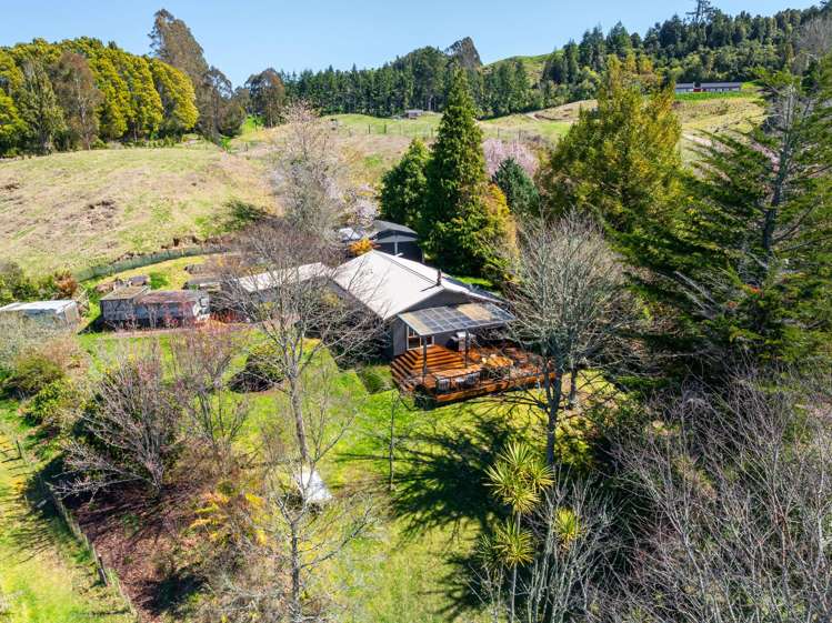 3/67 Forest Road Oruanui_15