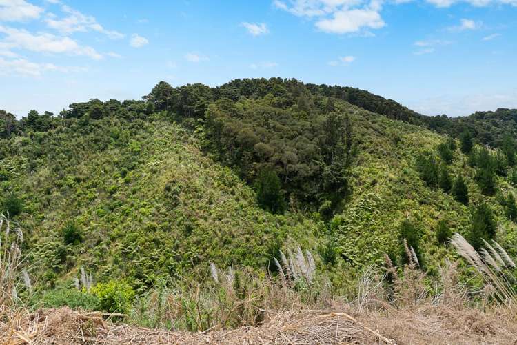 101 Waitokitoki Way Tutukaka_29