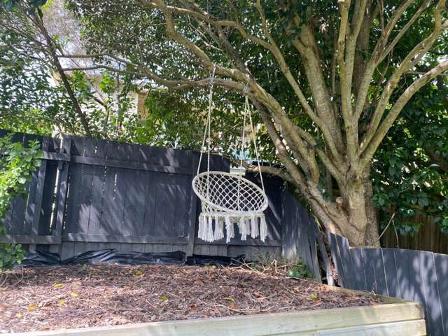 6 Takau Street Eden Terrace_4