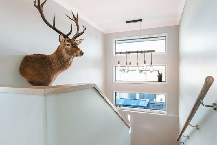 5 Wairere Rise Omokoroa_33