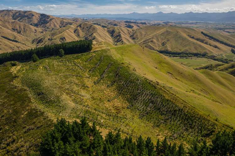 793 Taylor Pass Road Taylor Pass_16