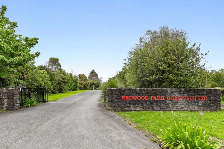 11B Knox Road Swanson_25