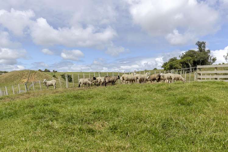 Lot Lot 1/208 Smart Road Hillsborough_11