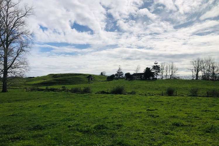 Lot 1 Waerenga Road Te Kauwhata_10