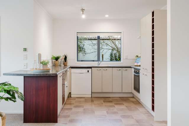 15A Rata Street Maeroa_3