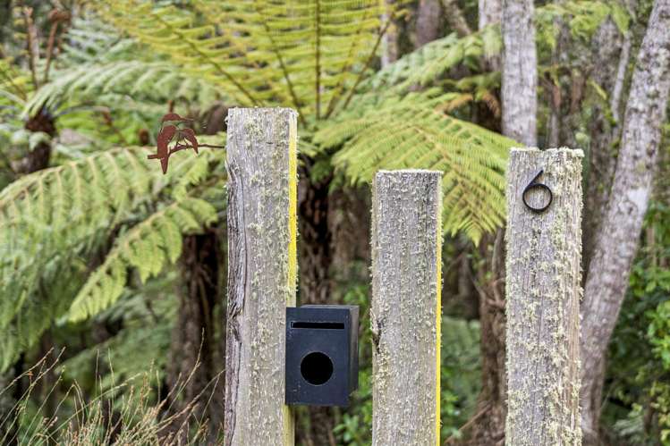 6 Selwyn Avenue Glen Eden_24